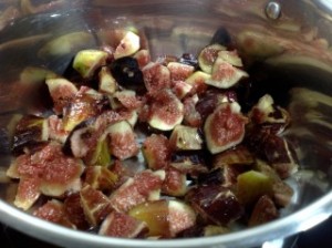 VinoCotto Figs in pot
